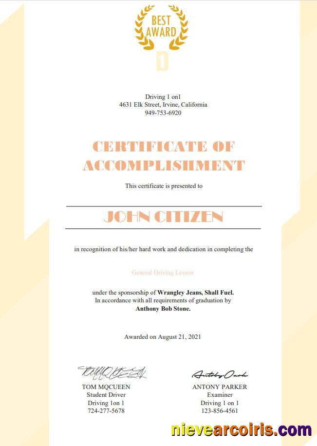 USA Driving certificate